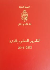 دائرة الزجر المالي: التقرير المتعلق بالفترة 2012-2019