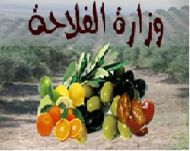 Le Commissariat Régional au Développement Agricole de Sfax