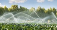 Gestion des eaux d’irrigation