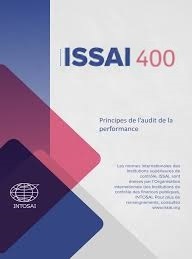 ISSAI 300