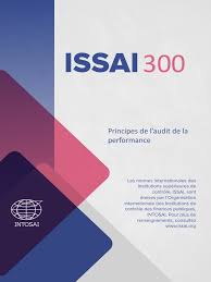 ISSAI 300